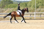 SBM_002595