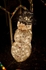 Bequia Christmas Lights_GRW_4213