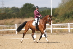 SBM_009771