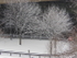Snow & Trees Under A40 Flyover