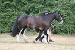 WJ7_1831