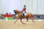 SBM_004426