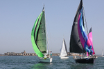 190629 CHEEKY GBR2552L D43A2203