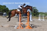 BPP_8295