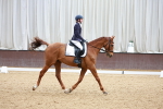 Class 6 CT Novice 3 portfolio
