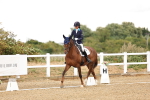 SBM_006466