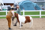 SBM_05907