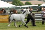 SBM_00517