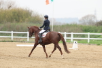 SBM_006665