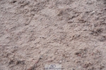 250525-102428-09106
