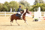 SBM_006530