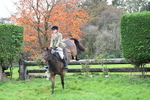 WJ7_0157