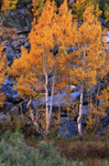 Photo of the Week 9/26/2011