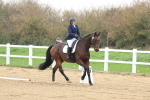 SBM_005910