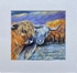 Heilan Coos