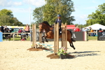 SBM_39337