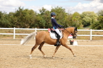 SBM_004695