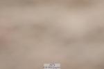 250622-123948-14899
