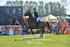 BPP_7651