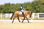 SBM_003991