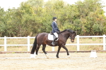 SBM_001213