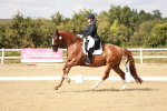 SBM_004566