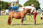 SBM_01755