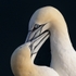IMG_4712 v3