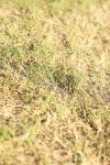 SBM_19764