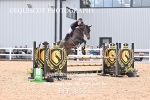 BPP_8561