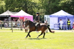 SBM_16391