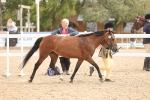 SBM_16972