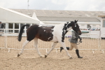 SBM_02060