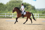 SBM_010327