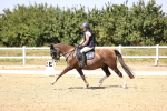 SBM_005488