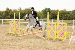 SBM_007490