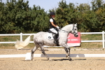 SBM_012399
