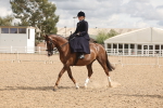 SBM_06354