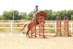 SBM_004437