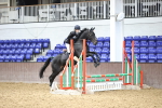 SBM_001951