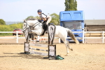 SBM_001519