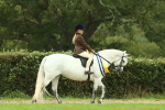 SBM_75133