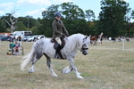 WJ7_4919