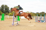 SBM_006864