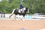 278-Chloe.Matravers-Fancy.pants portfolio