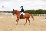 SBM_001909