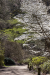 18Apr2013: Photo 108