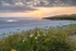 MF2_5818-HDR