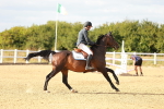 SBM_007819