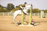 SBM_04111